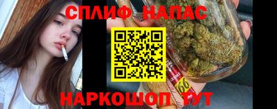 mdpv Лесосибирск