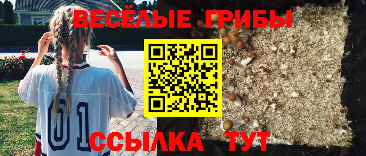 Галлюциногенные грибы Magic Shrooms Киржач