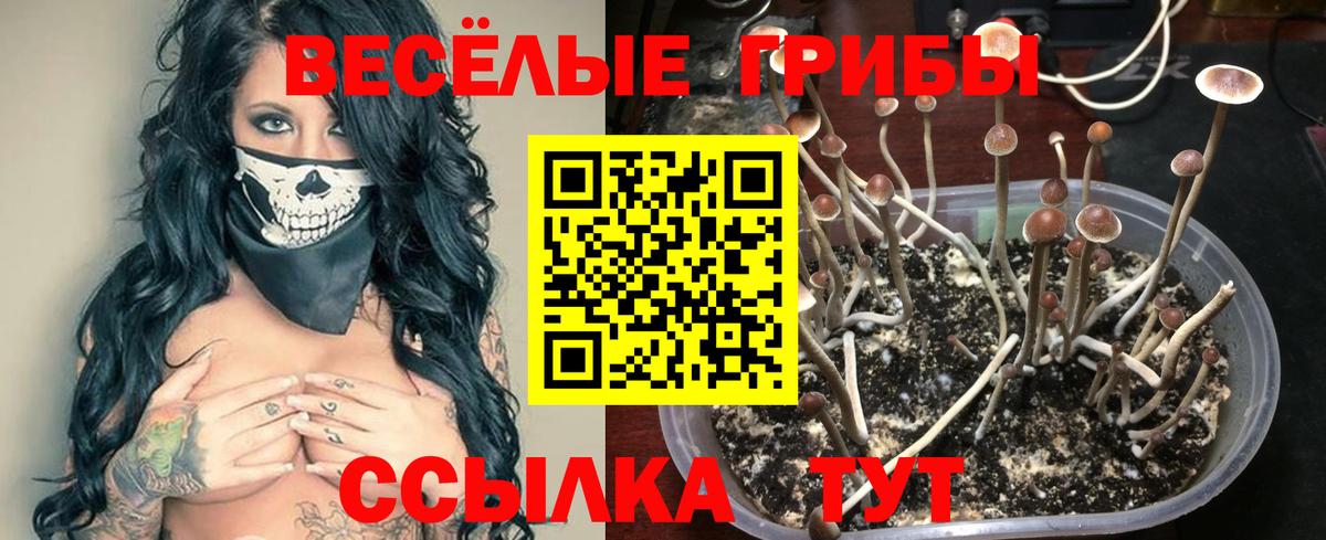 Галлюциногенные грибы мицелий  Вход с VPN  закладки  Киржач 